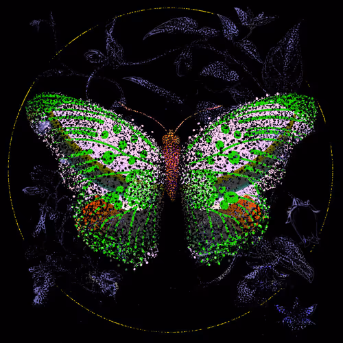 Monarch #763