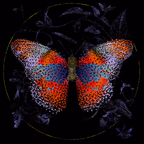 Monarch #185