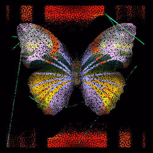 Monarchs Nft