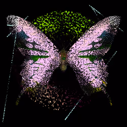 Monarch #577