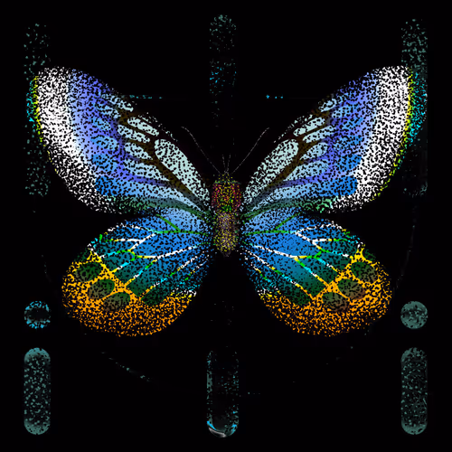 Monarchs Nft