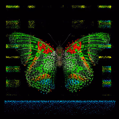 Monarch #115