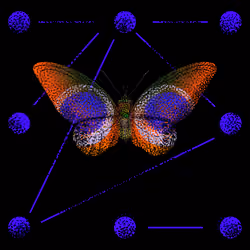 Monarch #301