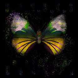 Monarch #618