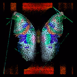 Monarch #416