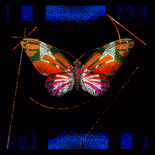 Monarch #359