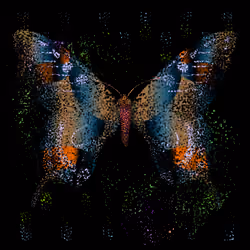 Monarch #667