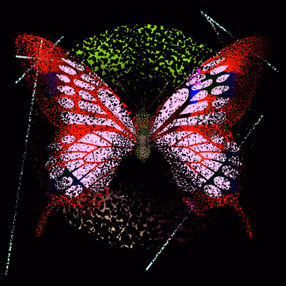 Monarch #855