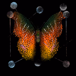 Monarch #692