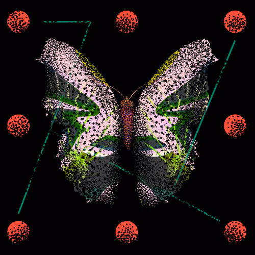 Monarchs Nft logo