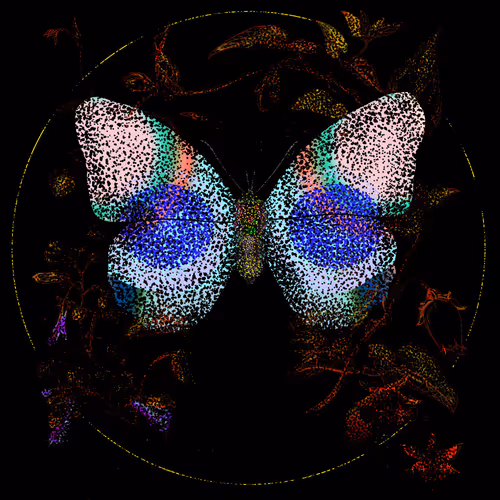 Monarchs Nft