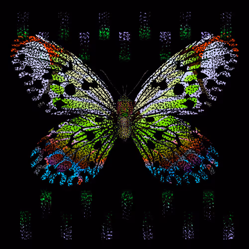 Monarch #3