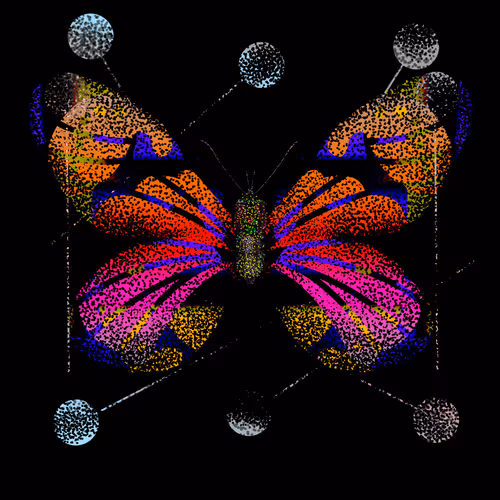 Monarch #41