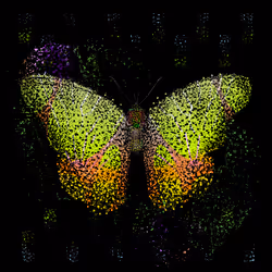 Monarch #822