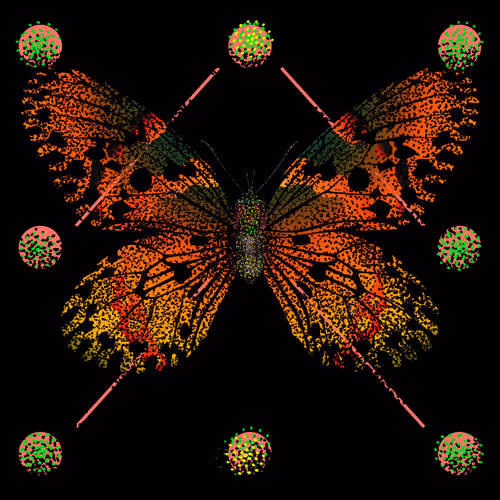 Monarchs Nft