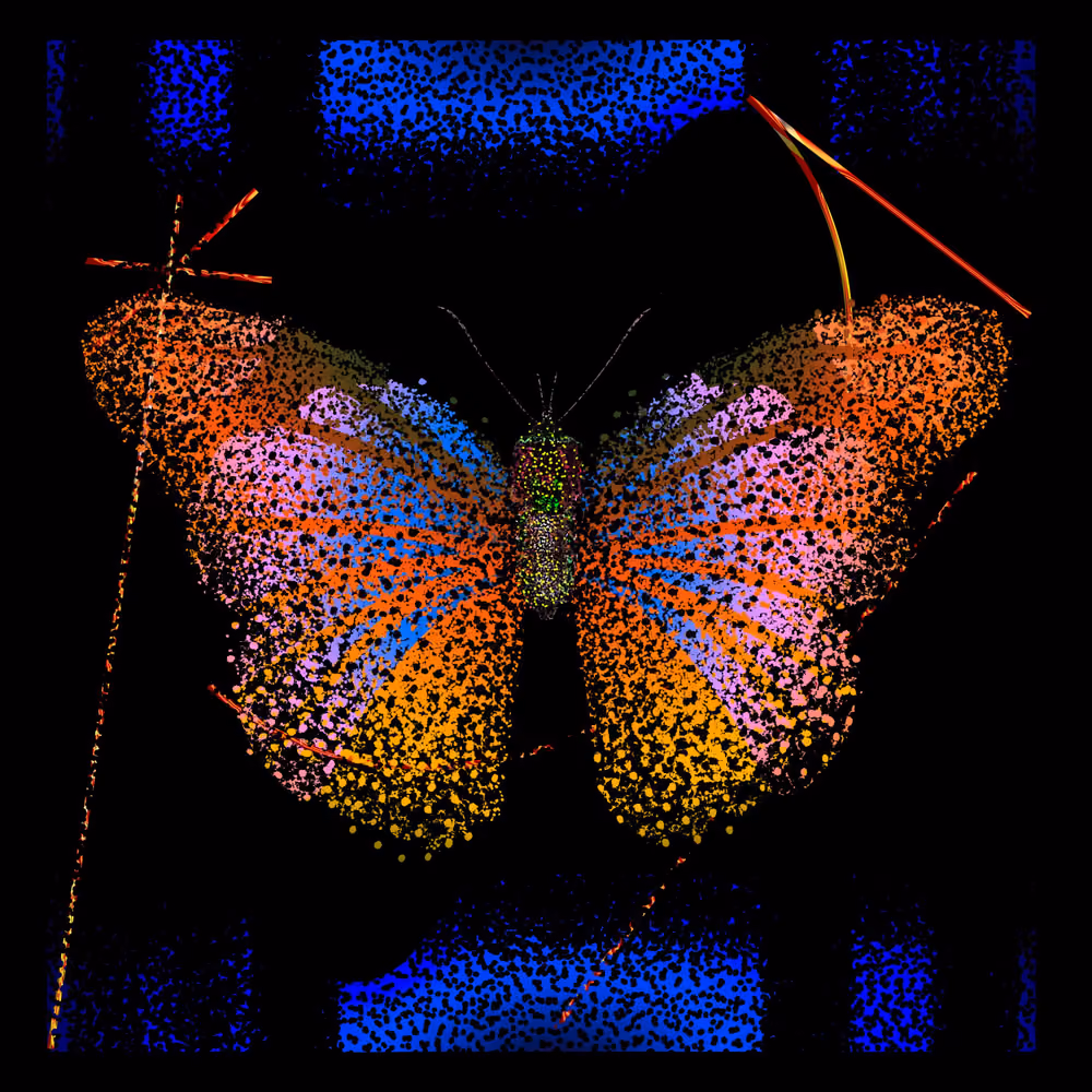 Monarch #851