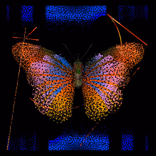 Monarch #851