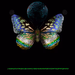 Monarch #479
