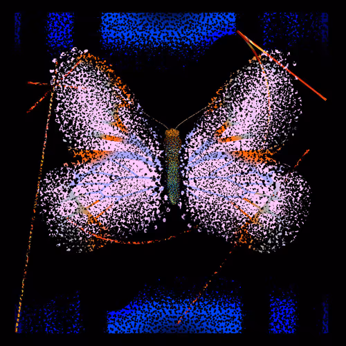 Item #678 Media