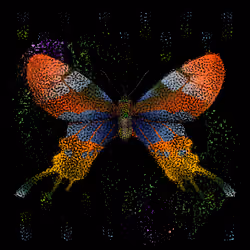 Monarch #424