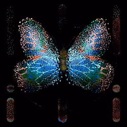 Monarch #599
