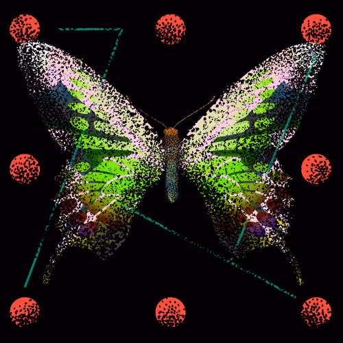 Monarch #585