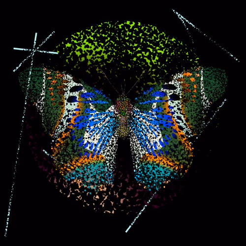 Monarch #371