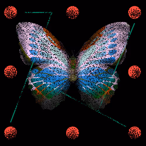 Monarch #347
