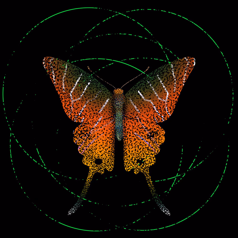 Monarch #886