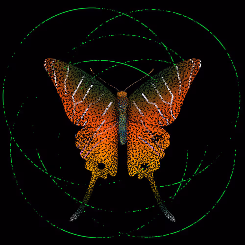 Monarch #886