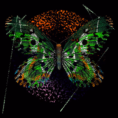 Monarch #307