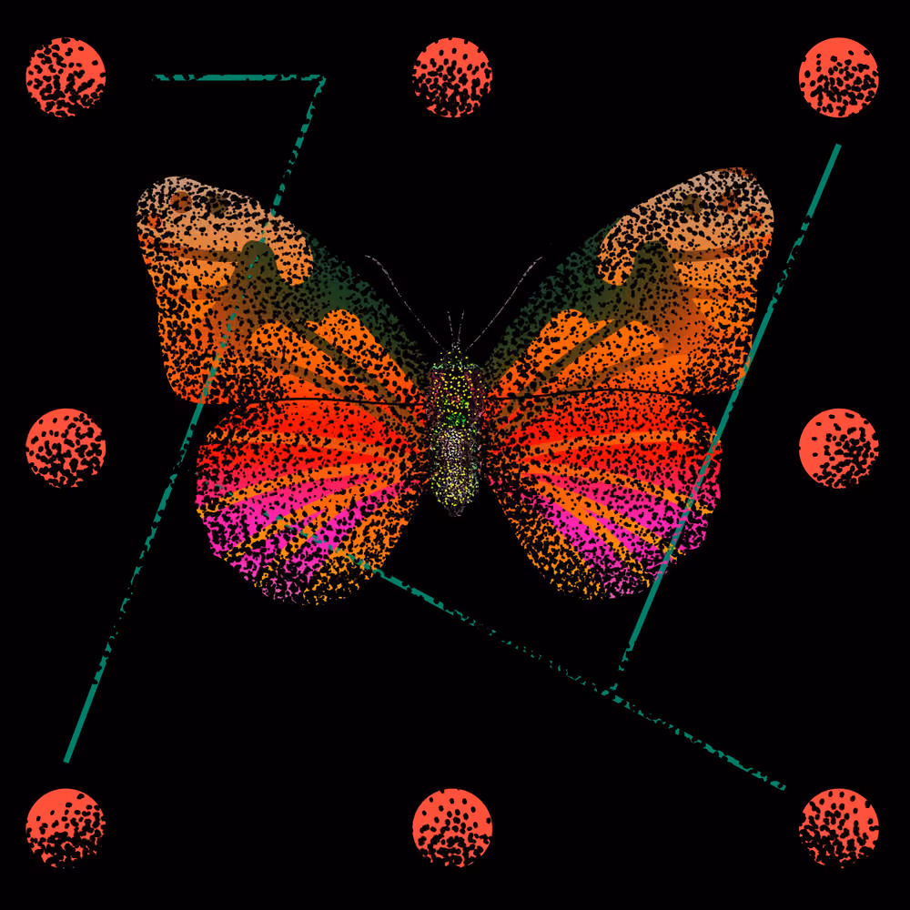 Monarch #862