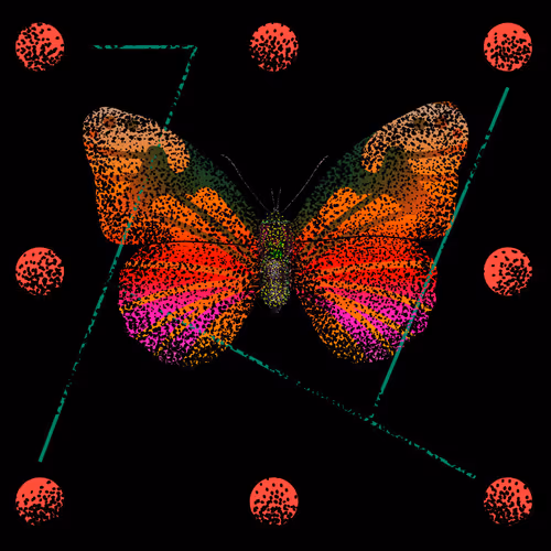 Monarch #862