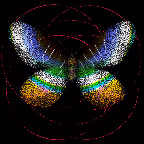 Monarchs Nft logo