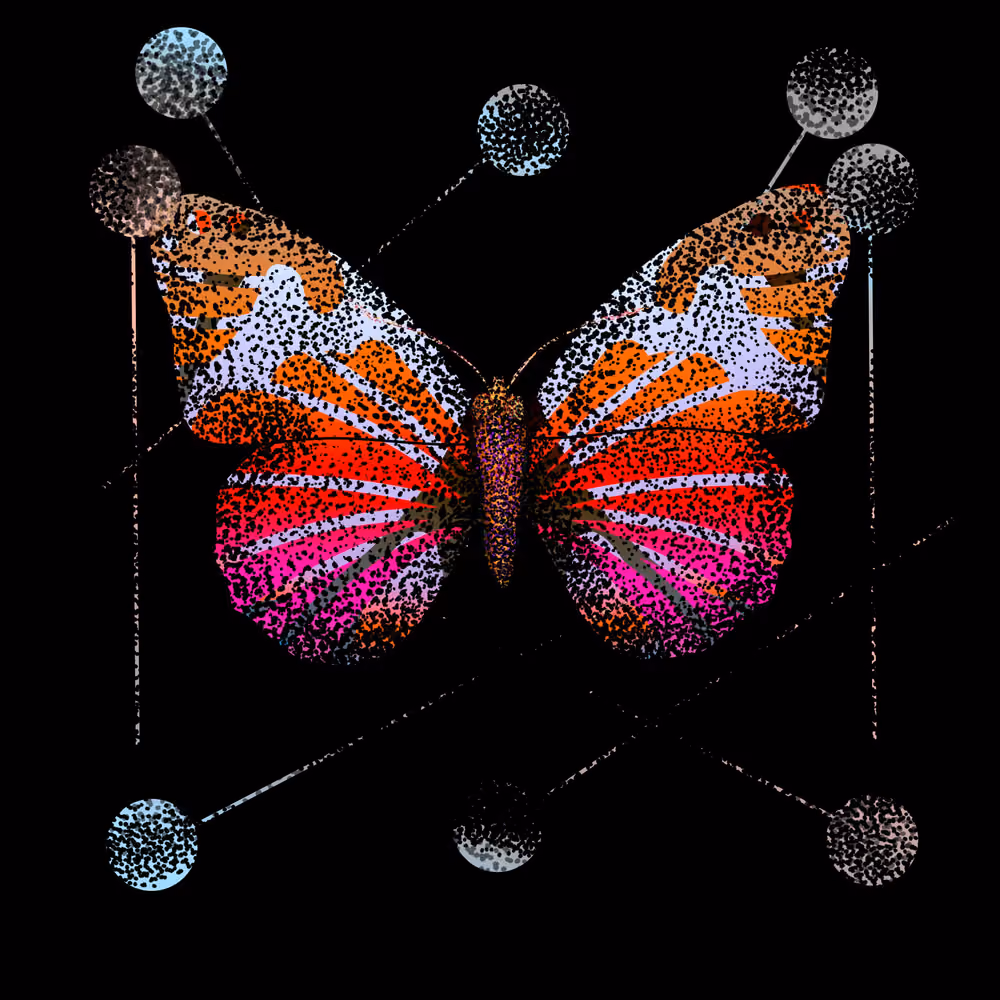 Monarch #884