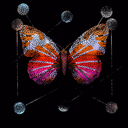 Monarch #884