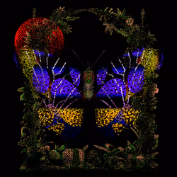 Monarch #797