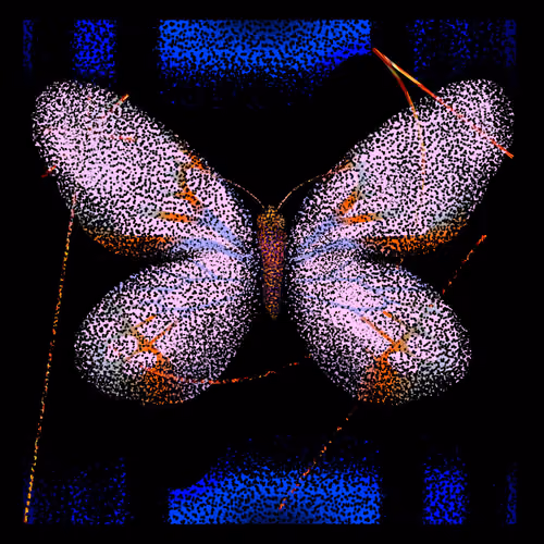 Monarch #439