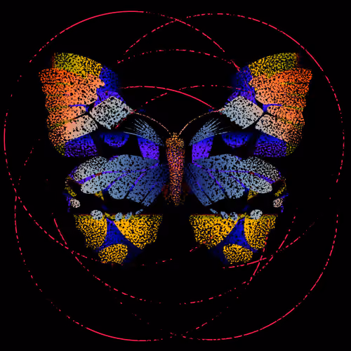 Monarch #511
