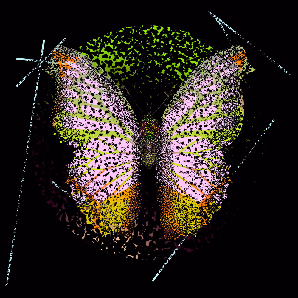 Monarch #876