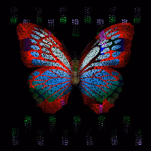 Monarchs Nft