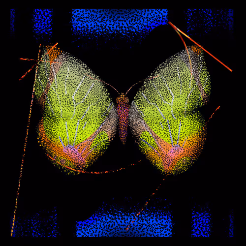 Monarch #871