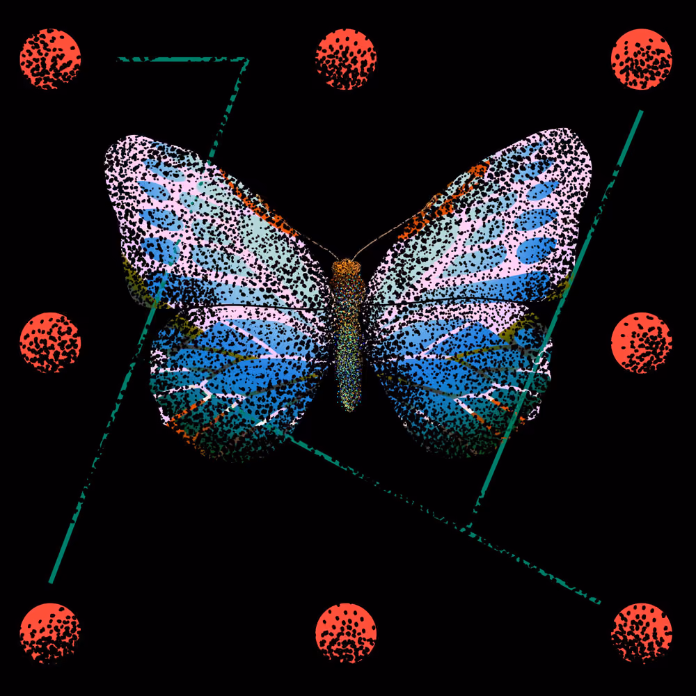 Monarch #885