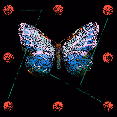 Monarch #885