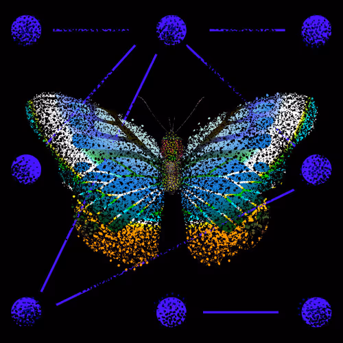 Monarch #441