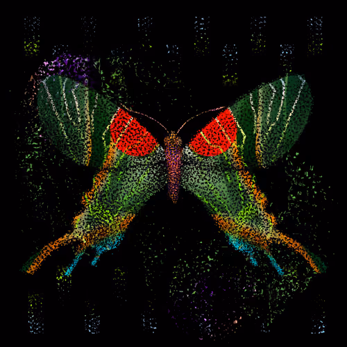 Monarch #85