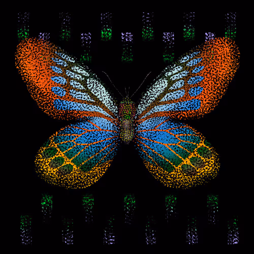 Monarchs Nft