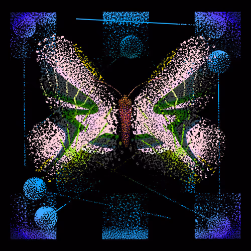 Monarch #271