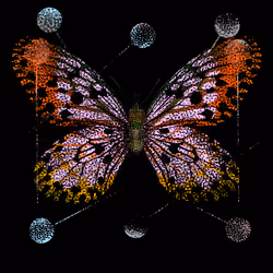 Monarch #633