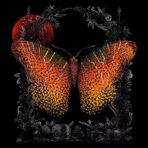 Monarch #54